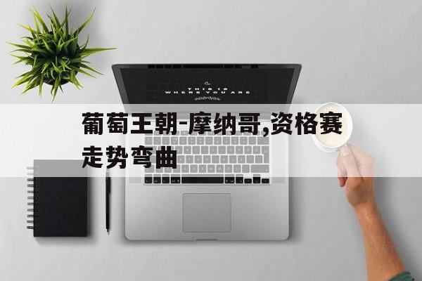 关于葡萄王朝-摩纳哥,资格赛走势弯曲的信息